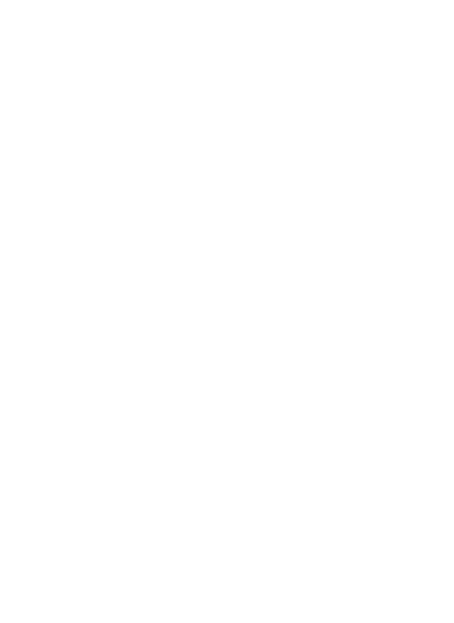 FFM Logo